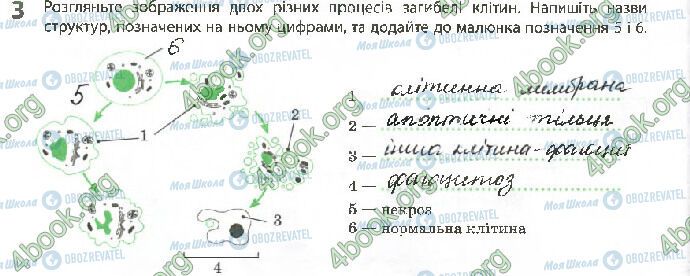 ГДЗ Биология 10 класс страница Стр.68 (3)